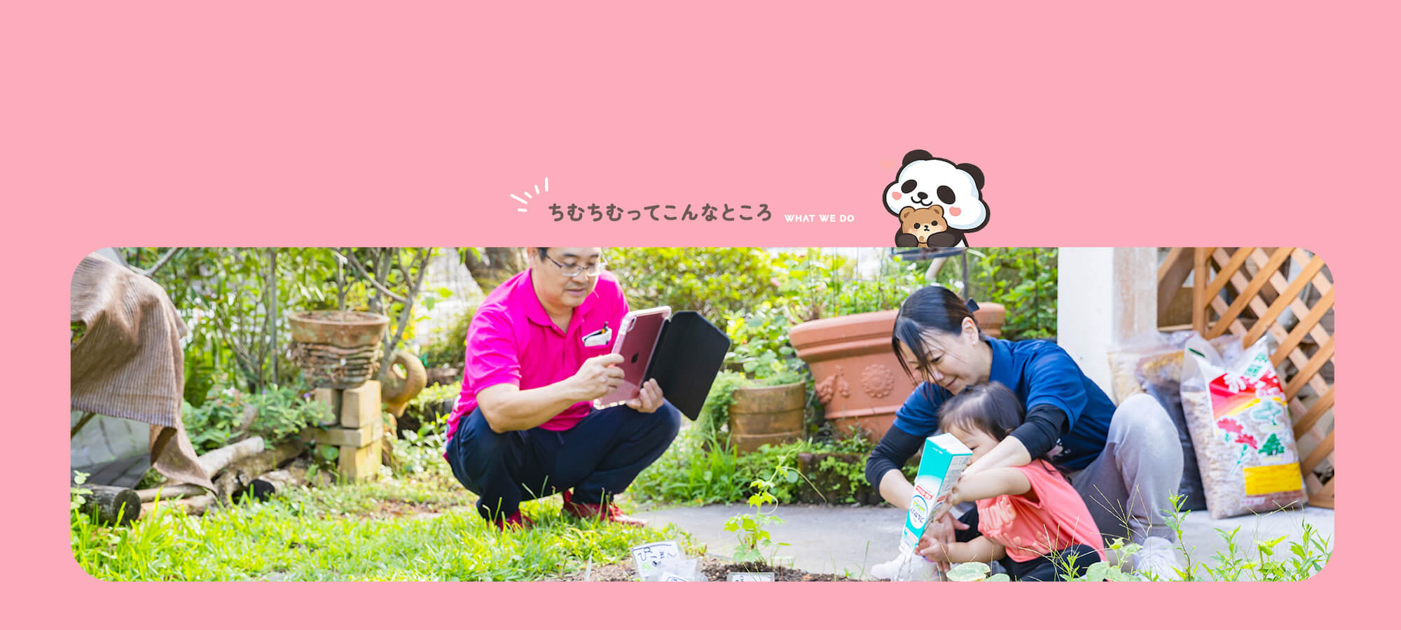 ちむちむってこんなところ